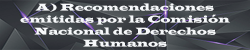 A Recomendaciones emitidas por la Comisión Nacional de Derechos Humanos